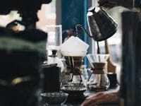 Promo! Sapi 1/7 1,3 Juta